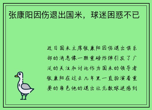 张康阳因伤退出国米，球迷困惑不已